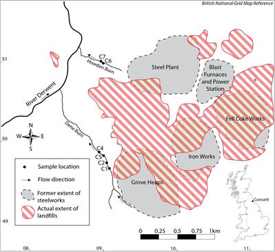 What Causes Carbonates to Form “Shrubby” Morphologies? An Anthropocene Limestone Case Study